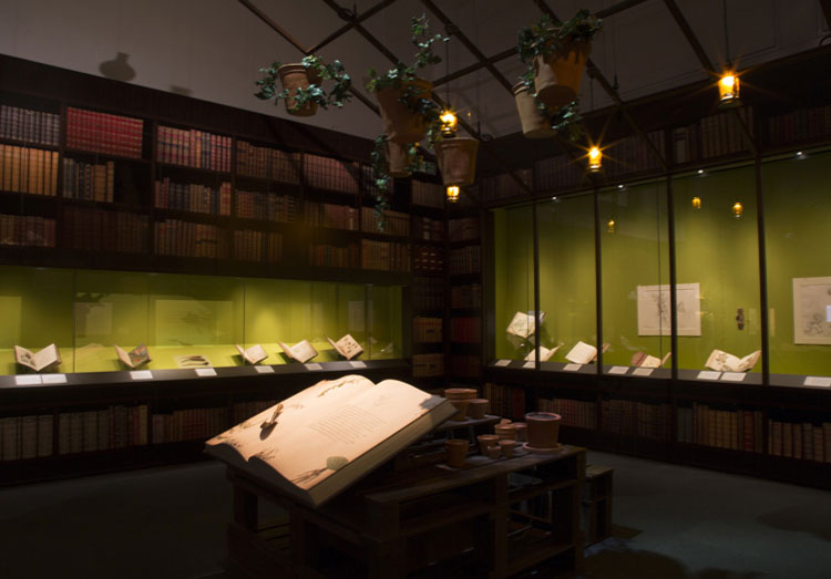 Harry Potter by British Library Harry Potter by British Library