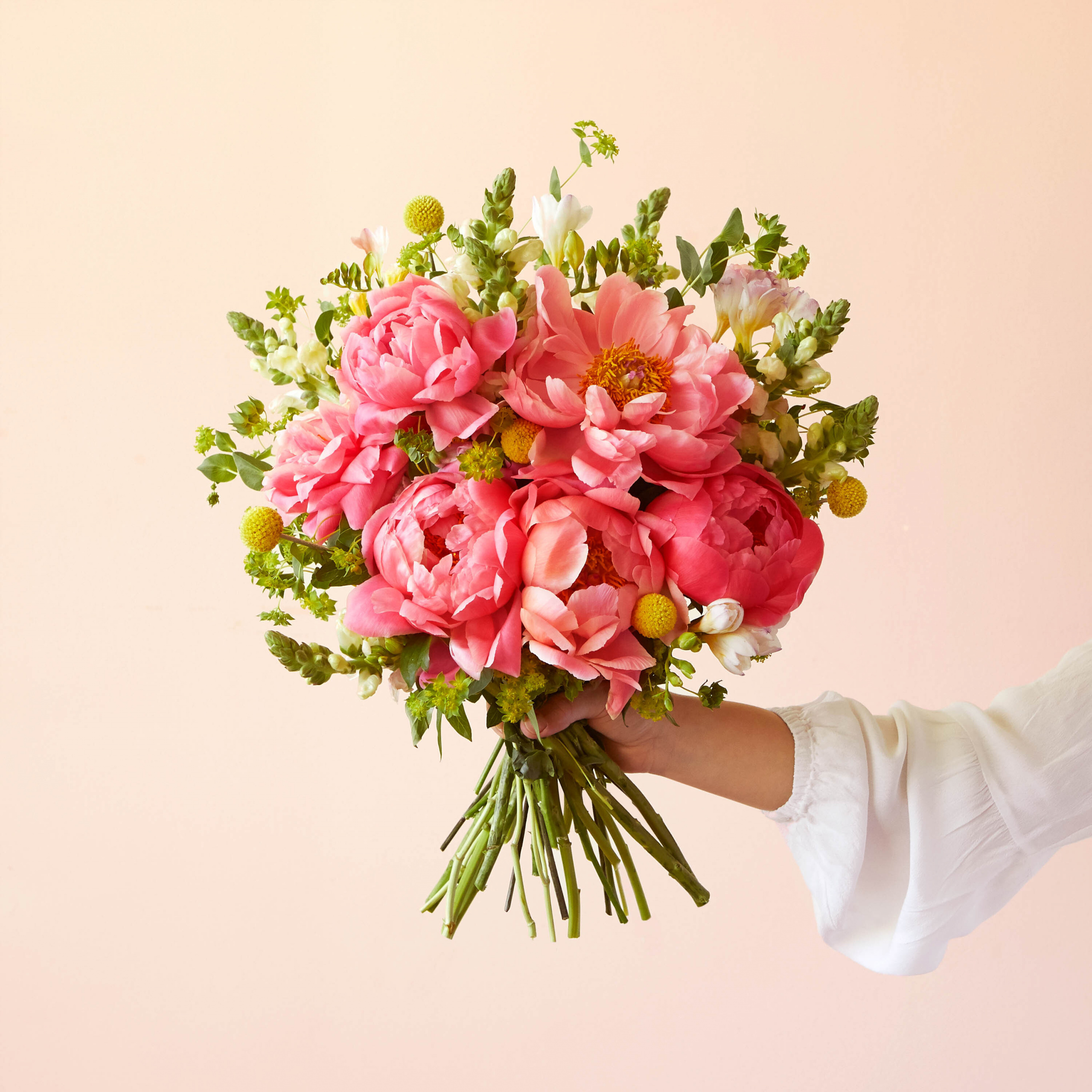 Bloom & Wild Peonies