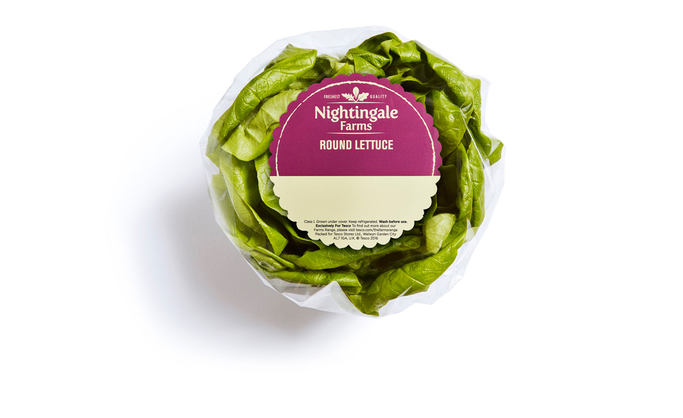 lettuce