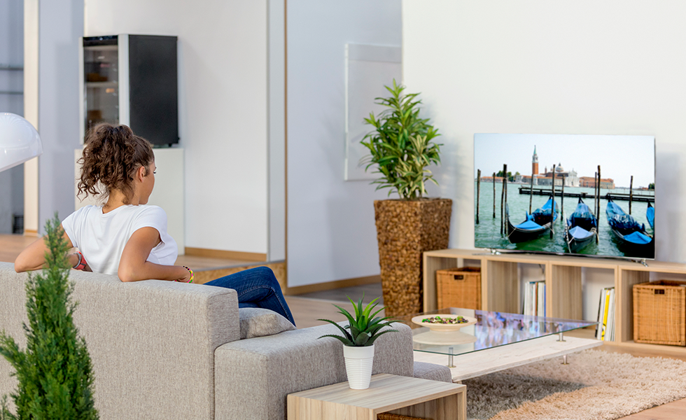 TV programmatic
